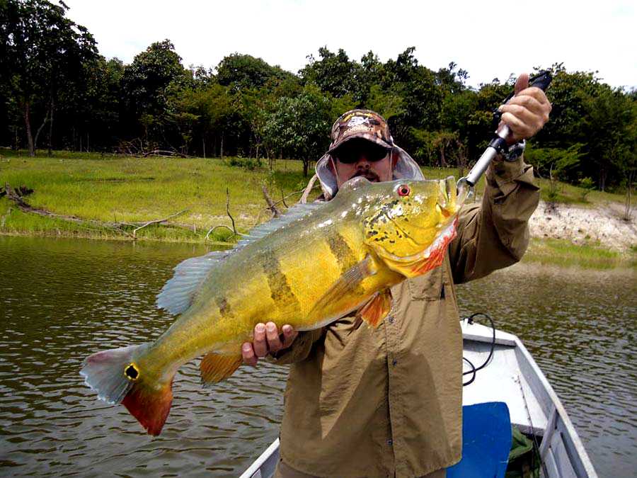 Troféu do pacote de pesca