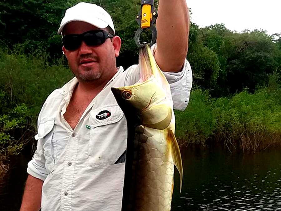 Aruanã no Rio Negro