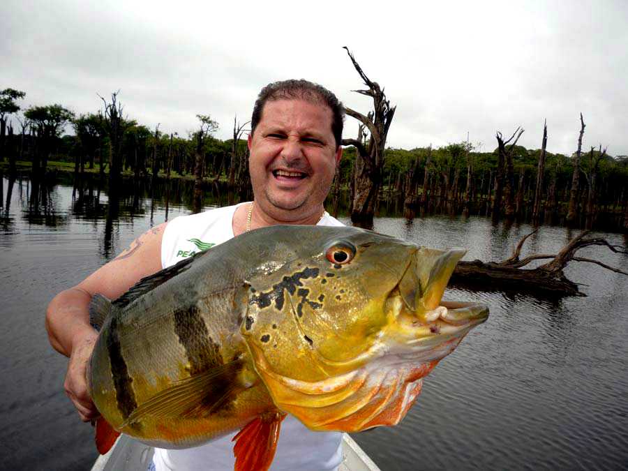 Fisgado na isca artificial