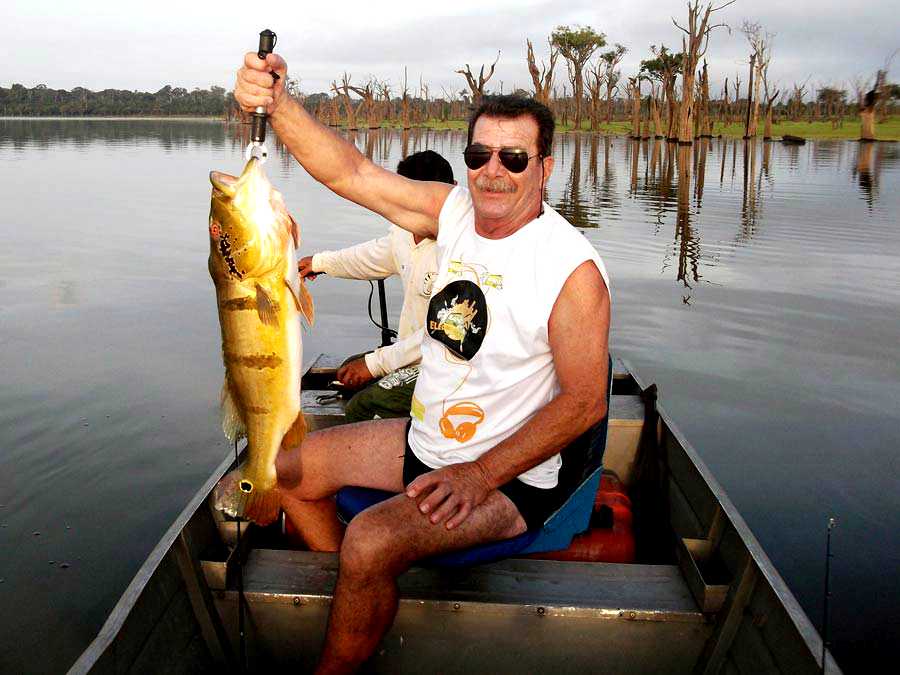 Pescaria em lago de galhos